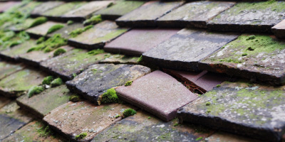 Callington roof repair costs